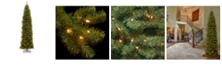 National Tree Company National Tree 10' North Valley Spruce Pencil Slim Tree with Clear Lights